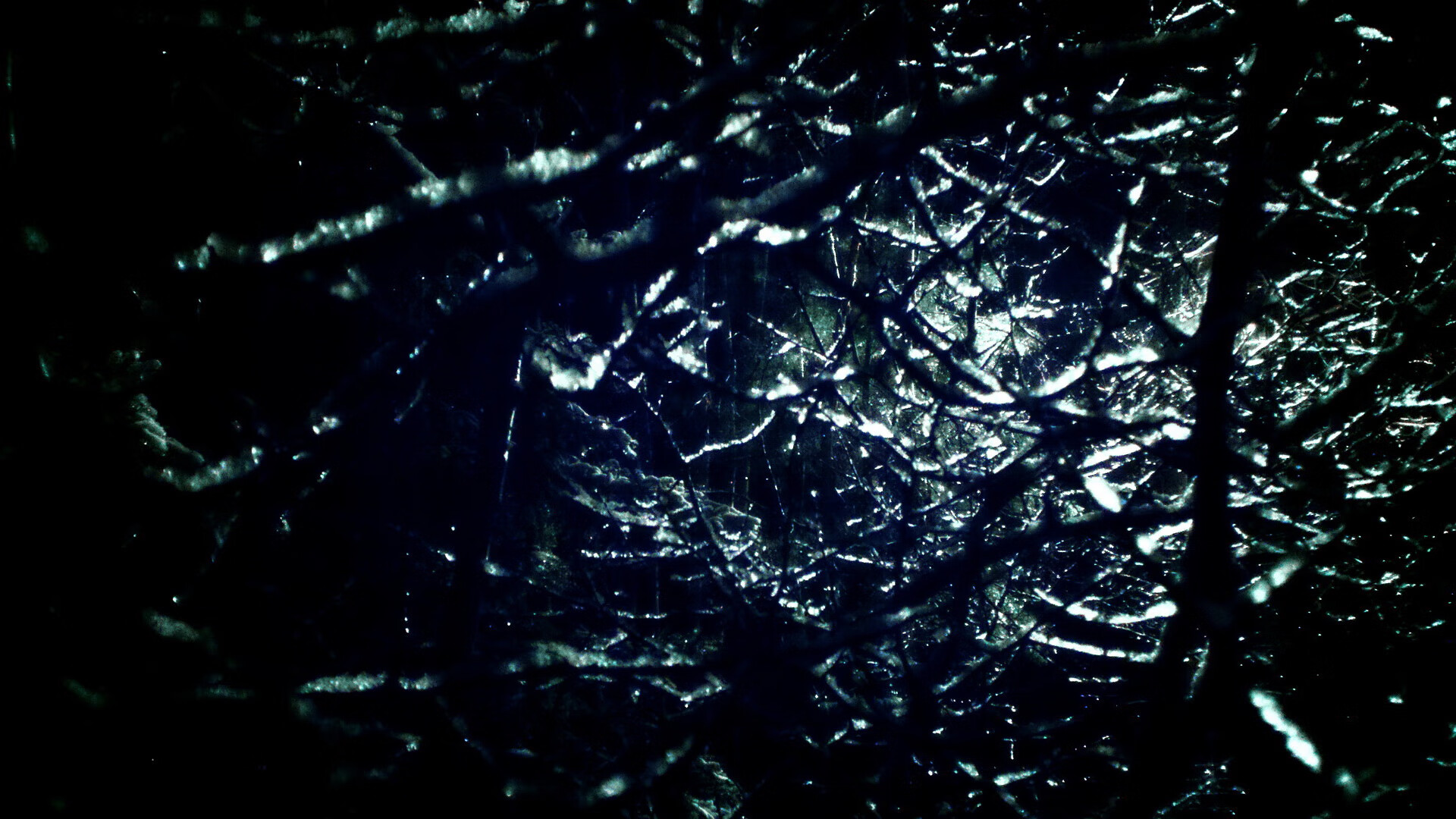 开云·体育官网APP下载-青少年篮球“球鞋文化节”在广州精彩呈现，融合艺术与运动，青少年 篮球鞋