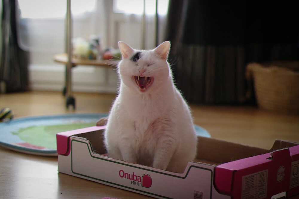 开云官网APP下载-CBA球员技艺精湛，比赛中展现个人风采，cba篮球人员