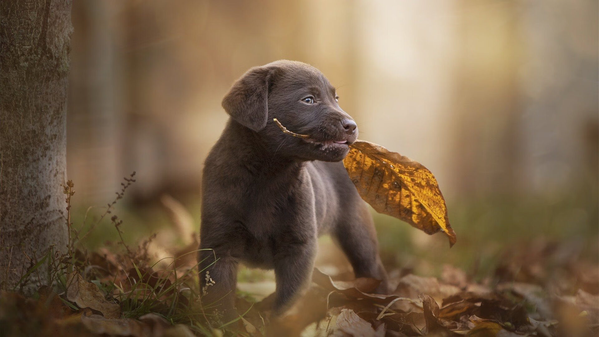 开云·体育官网APP下载-同曦队球队年轻球员迅速成长，同曦队教练组都有谁