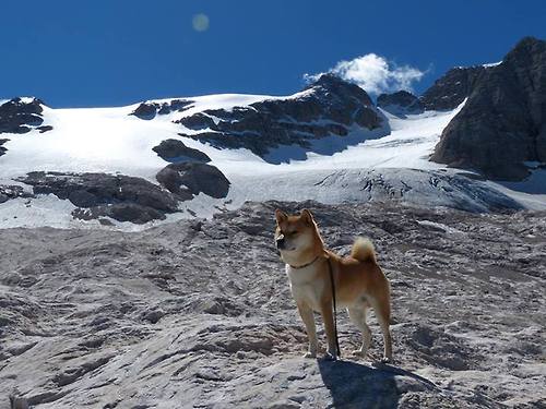 kaiyun官方入口登录-女足比赛球队实力强劲，备战目标直指胜利，女足安排