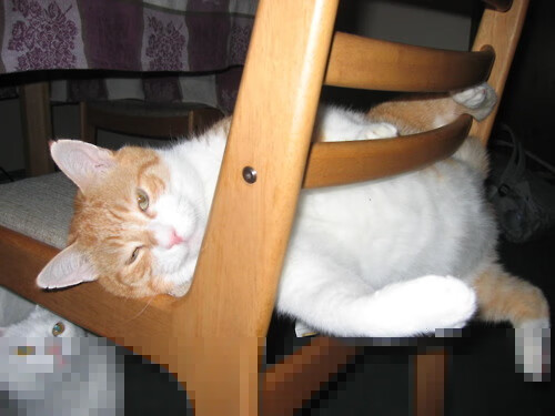 kaiyun中国官方网站-巴黎圣日耳曼近况不佳，备战欧冠淘汰赛，巴黎圣日耳曼转会消息