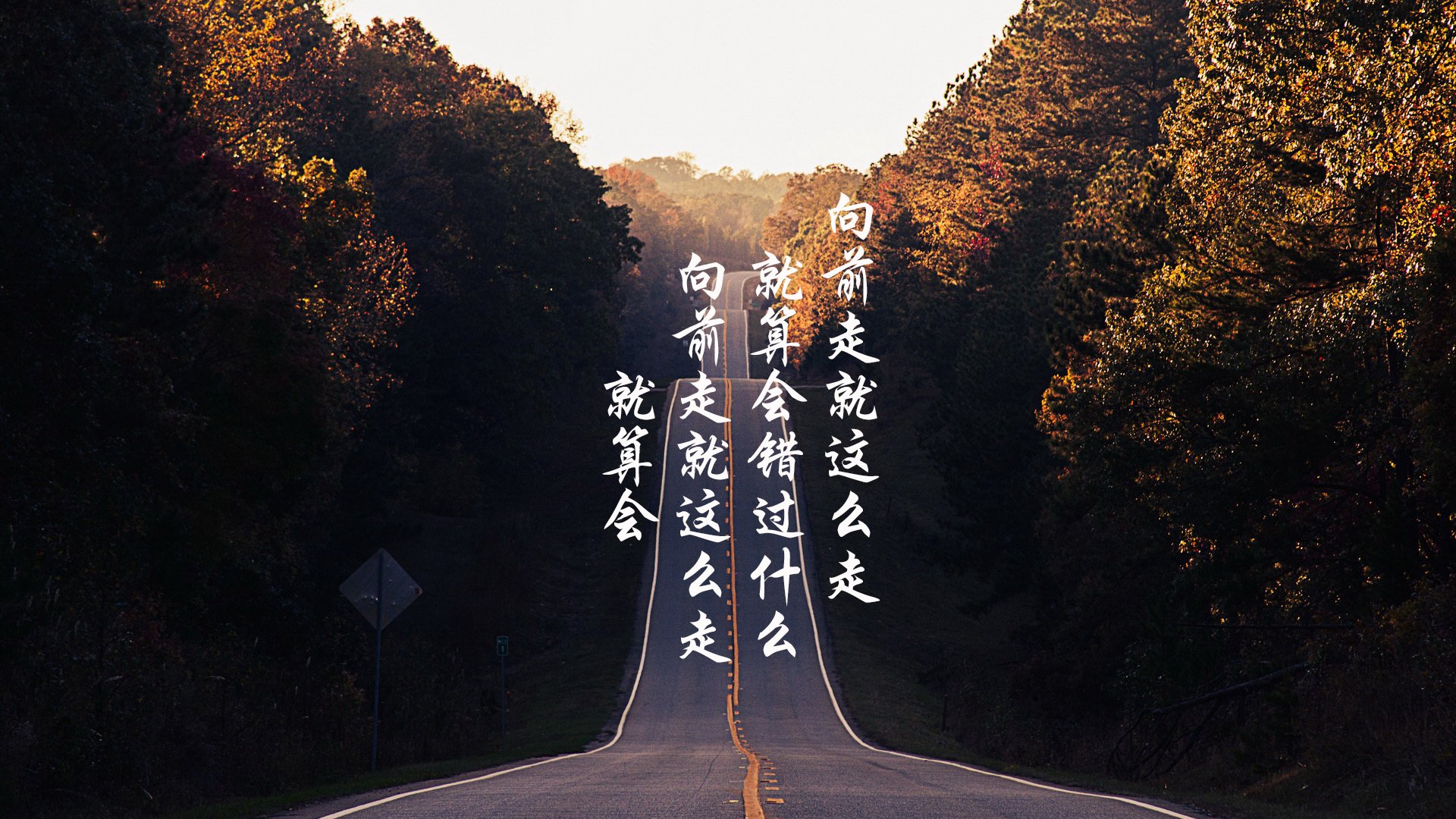 开云入口-捷克中场助攻连连，球队轻松获胜，捷克队中锋