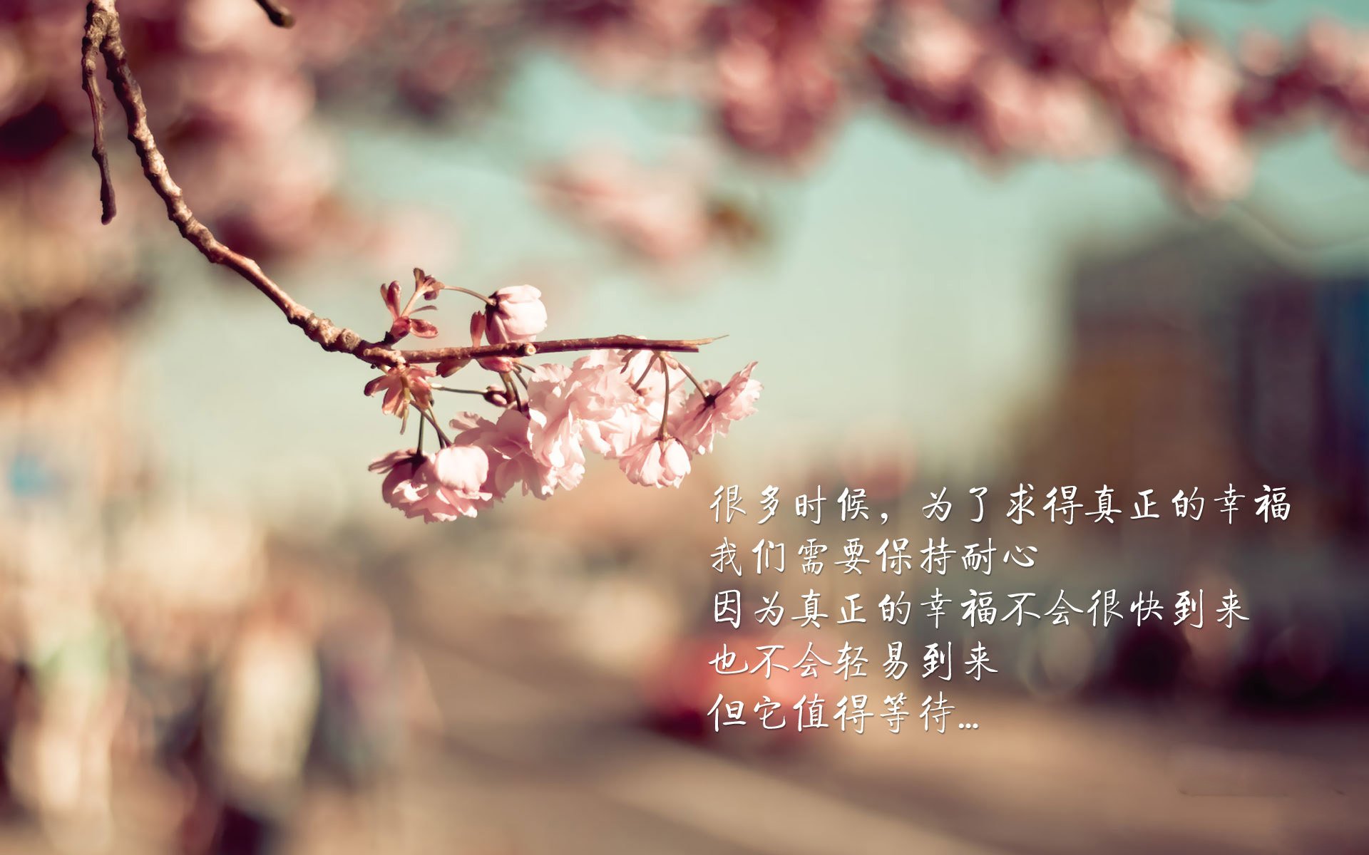 kaiyun登录入口-曼联主场艰难战平伯恩茅斯，近期状态动荡，曼联对伯恩利何时补赛