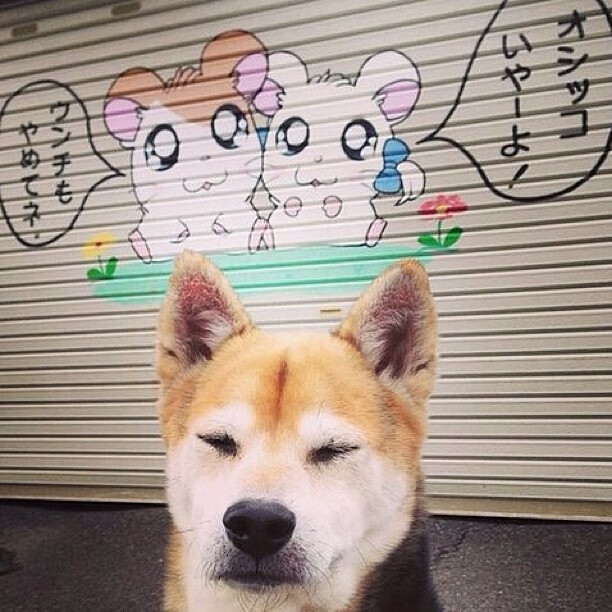 kaiyun开云·官方网站-法兰克福球队在比赛中发挥出色，取得胜利，法兰克福队长是谁