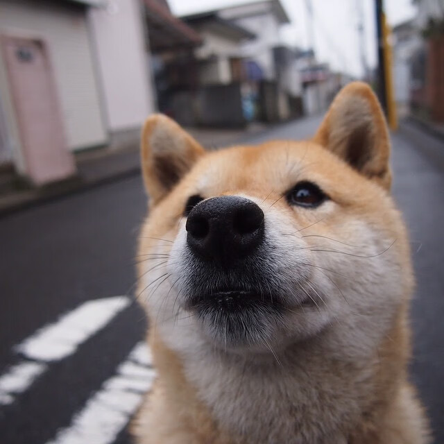 Kaiyun(中国)开云-联盟是否应设立球员母校回访计划