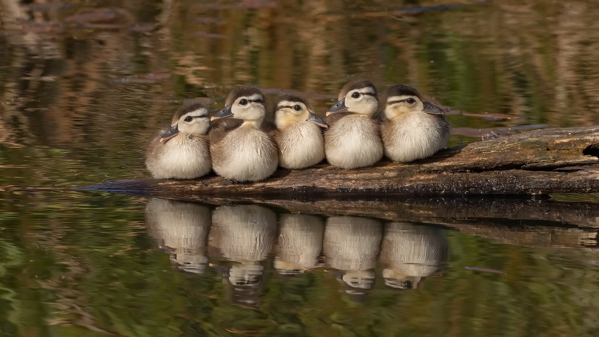 NBA球员心理调节技巧,nba球员怎么解决生理问题