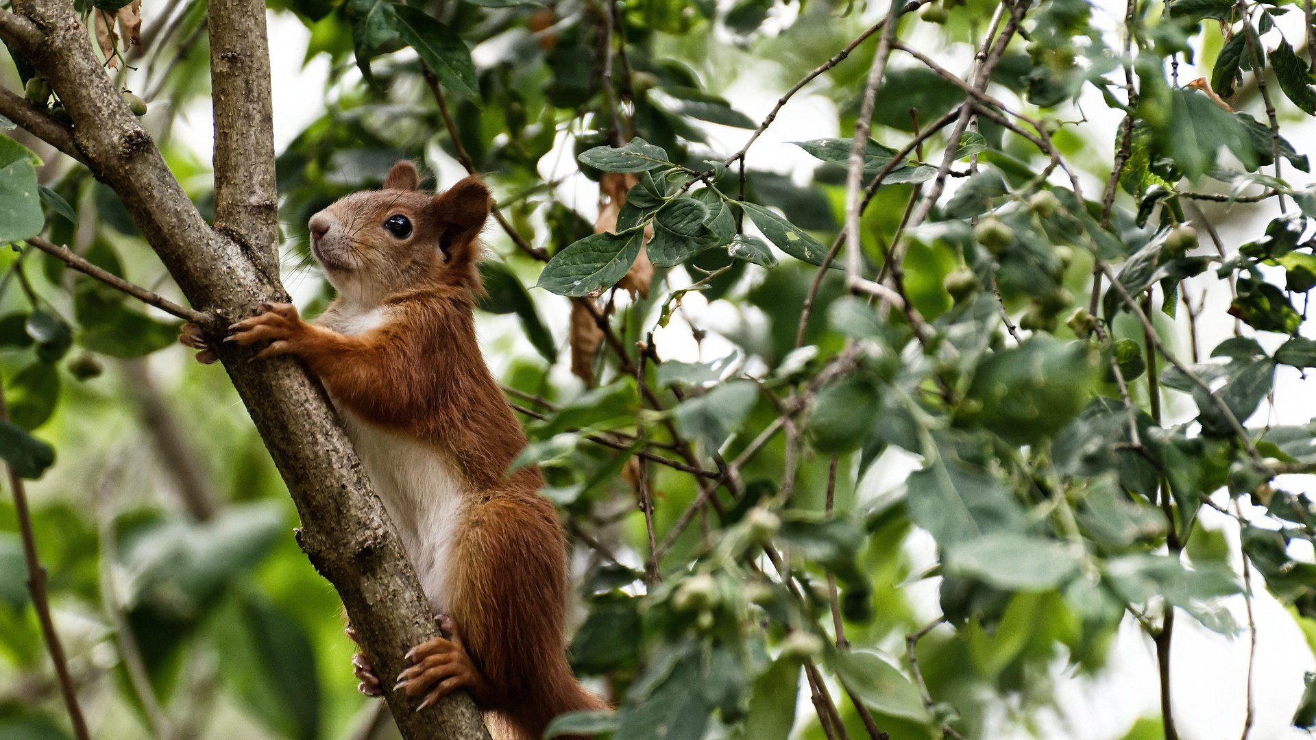 中超球队比赛数据波动与战术体系稳定性评估,中超数据统计