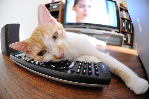 德甲球队构建动态战术模拟系统提升临场应变能力