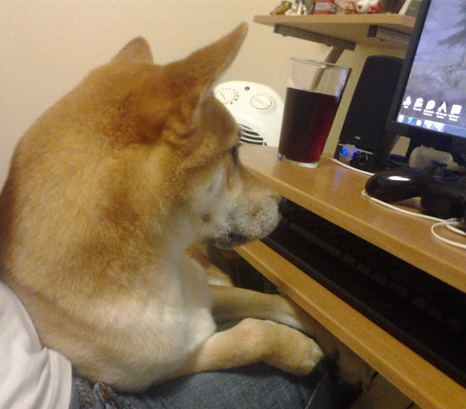 英超VAR技术提升裁判判罚准确率的多维度评估,英超var规则