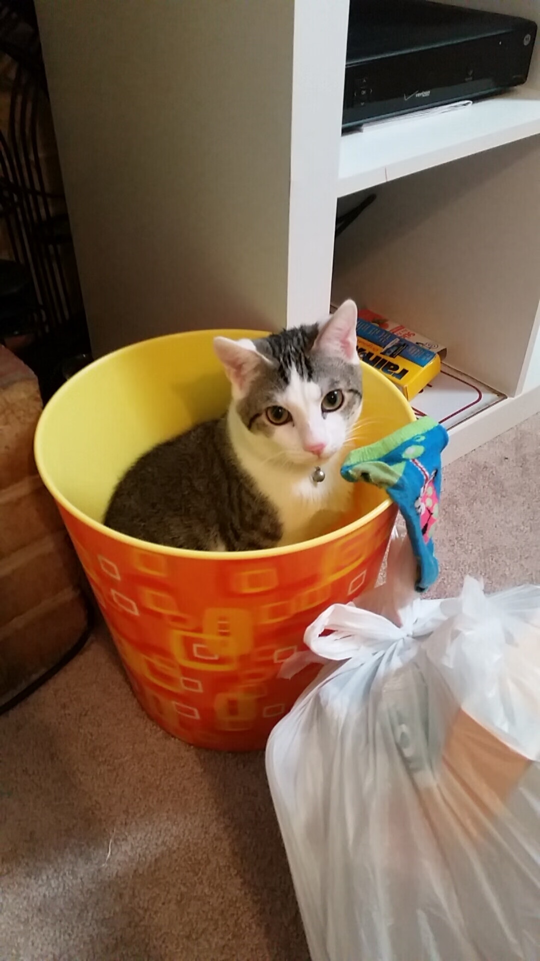 kaiyun官方入口登录-CBA联盟持续深化基层人才培养路径，cba人才输送体系