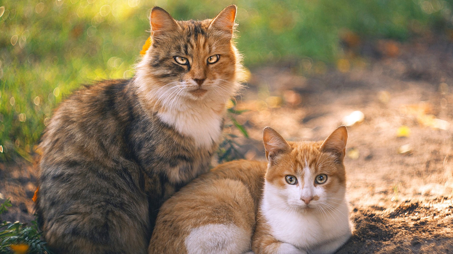Kaiyun(中国)开云-前锋回撤参与组织是否弱化中场防守覆盖，回撤型前锋