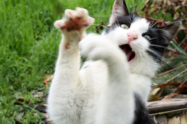 控球球员是否应承担节奏切换的责任主导,球员控制球