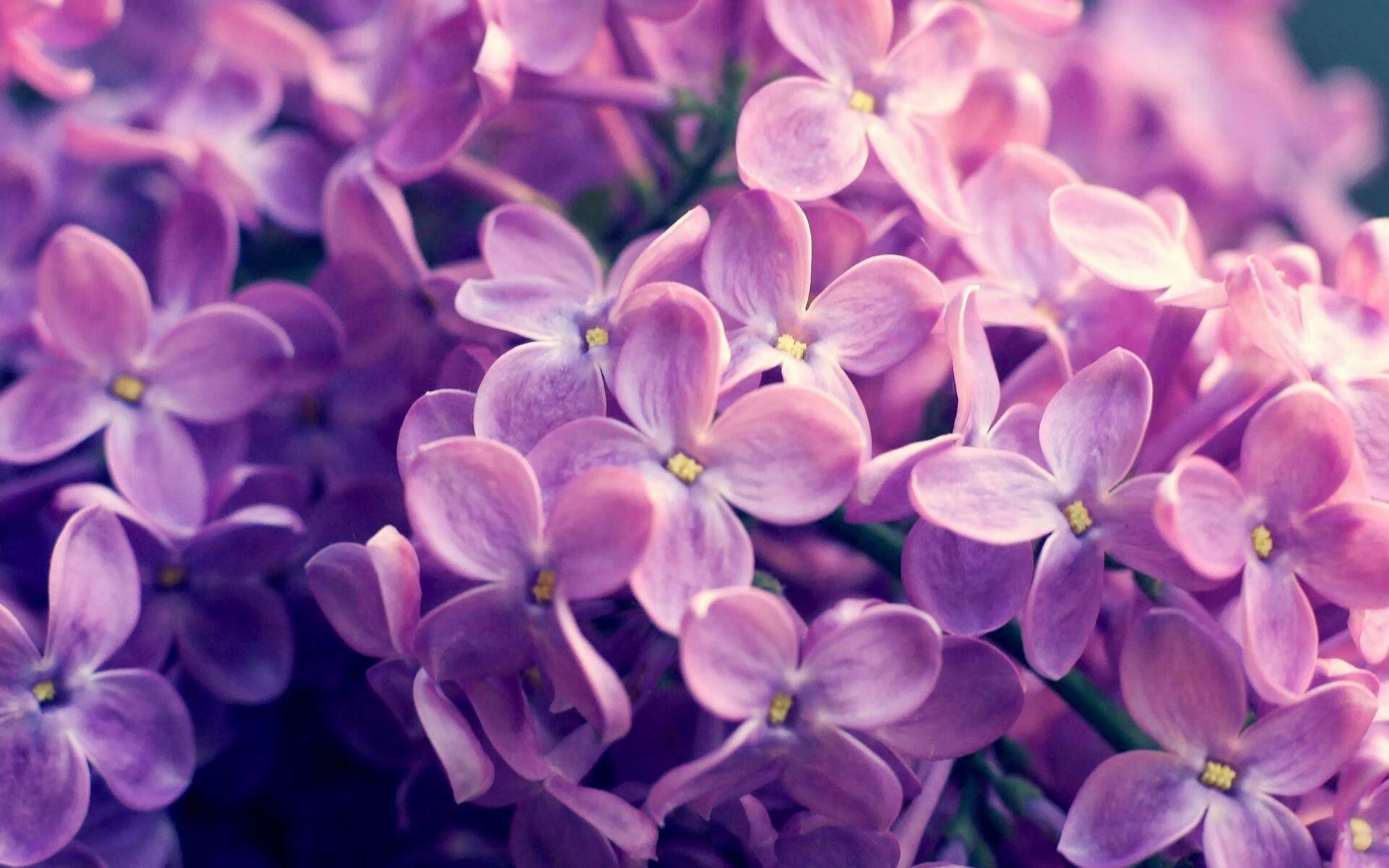 青少年足球缺乏竞争性赛事支撑,青少年足球比赛规则