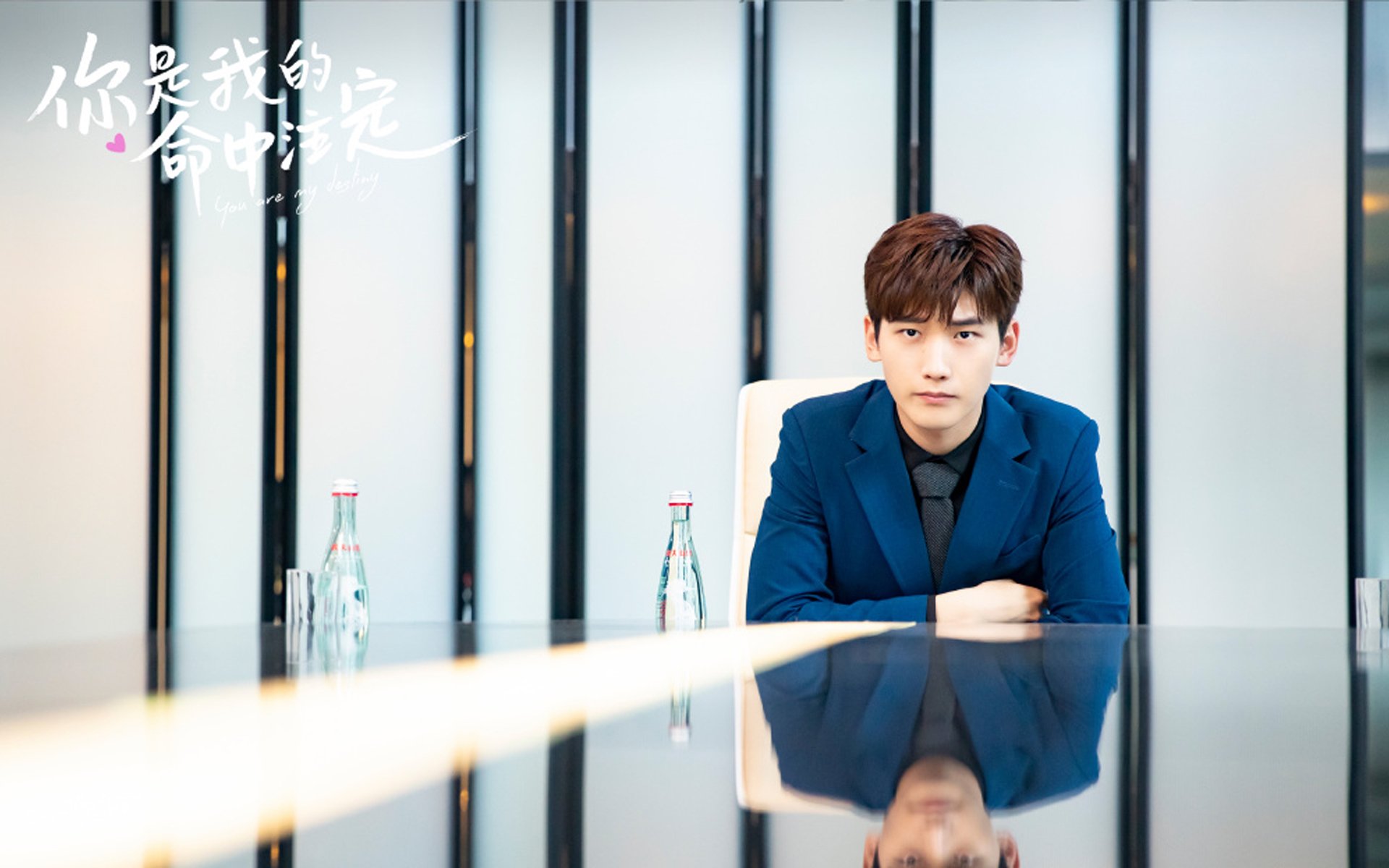 南非橄榄球走向世界,全球球迷基础日益扩大,95南非橄榄球