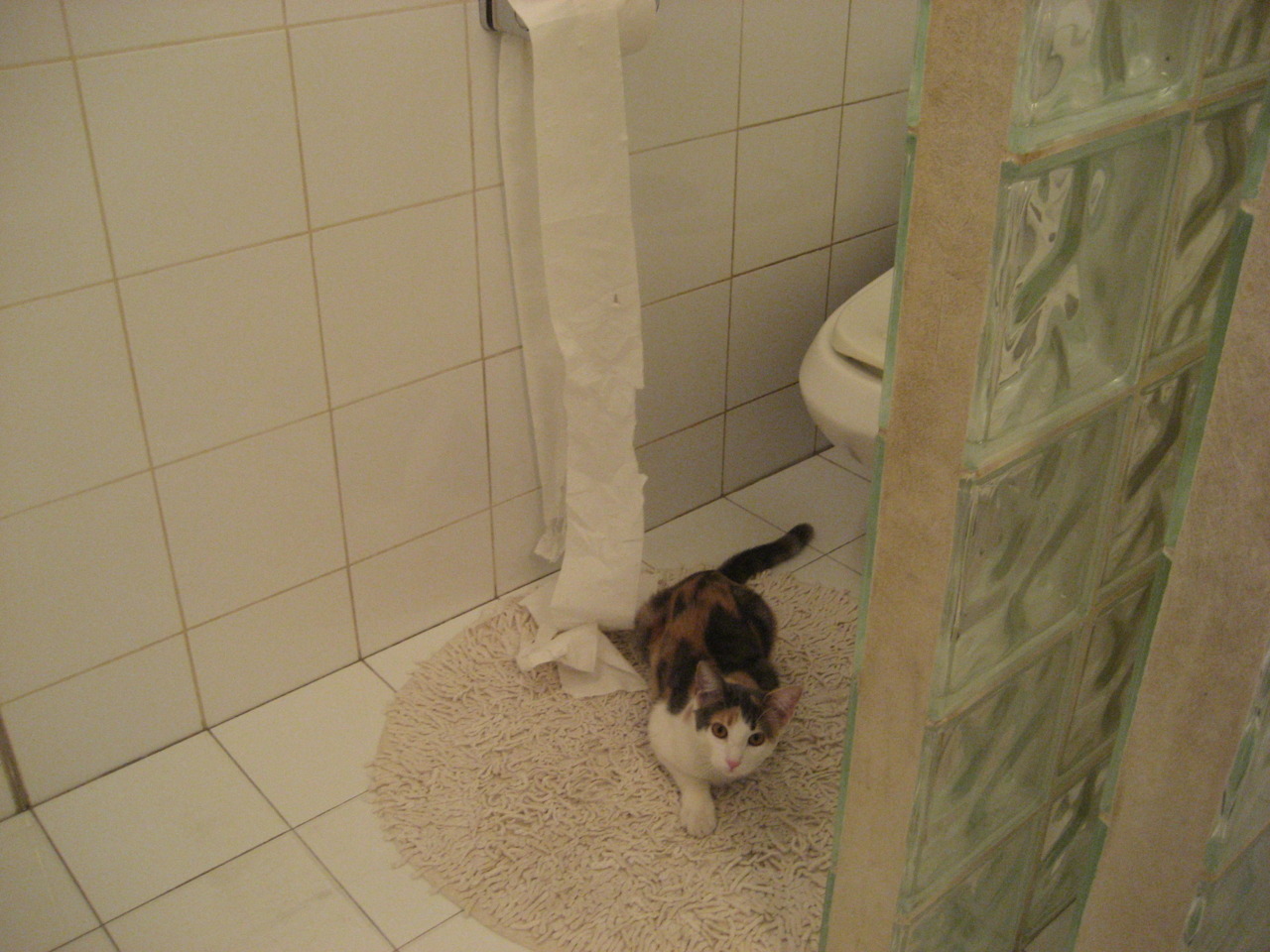 Kaiyun(中国)开云-德甲比赛战况激烈：攻防转变令人屏息，德甲赛制规则