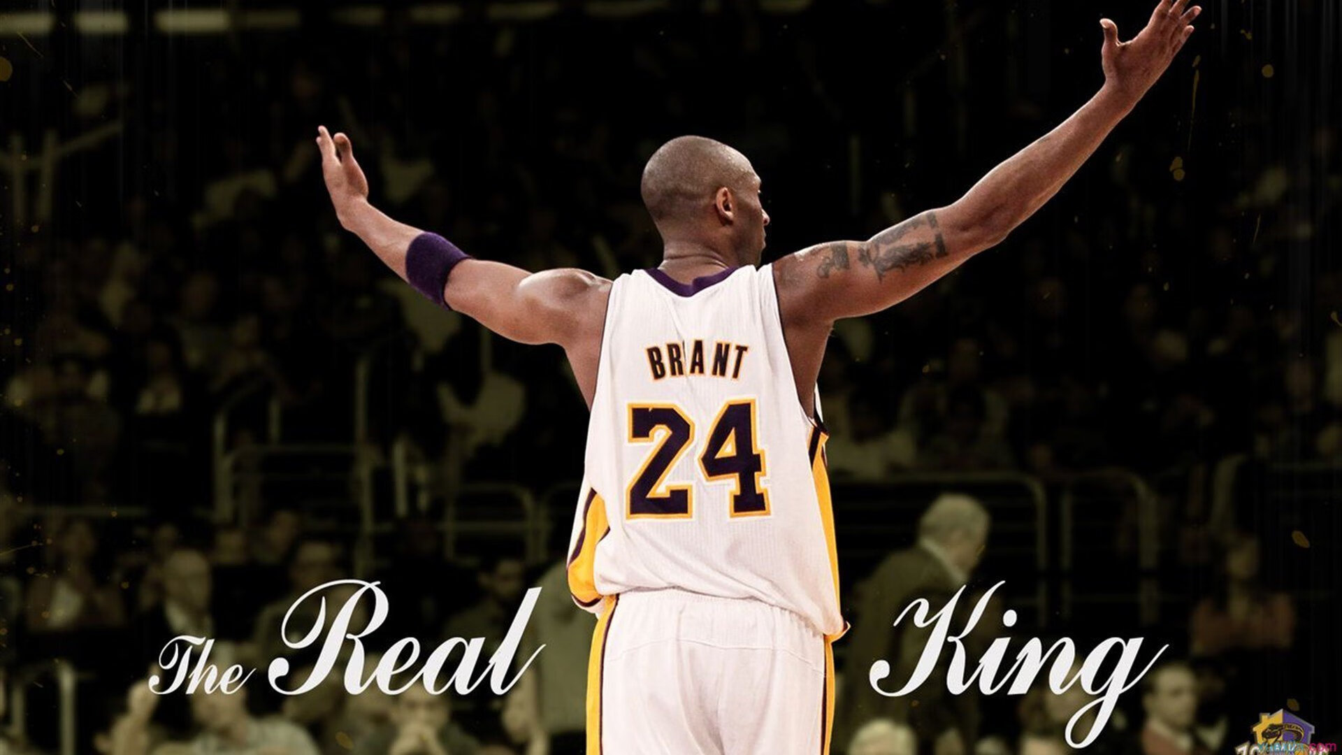 Kaiyun APP-澳大利亚队期待在亚洲赛场有更多突破