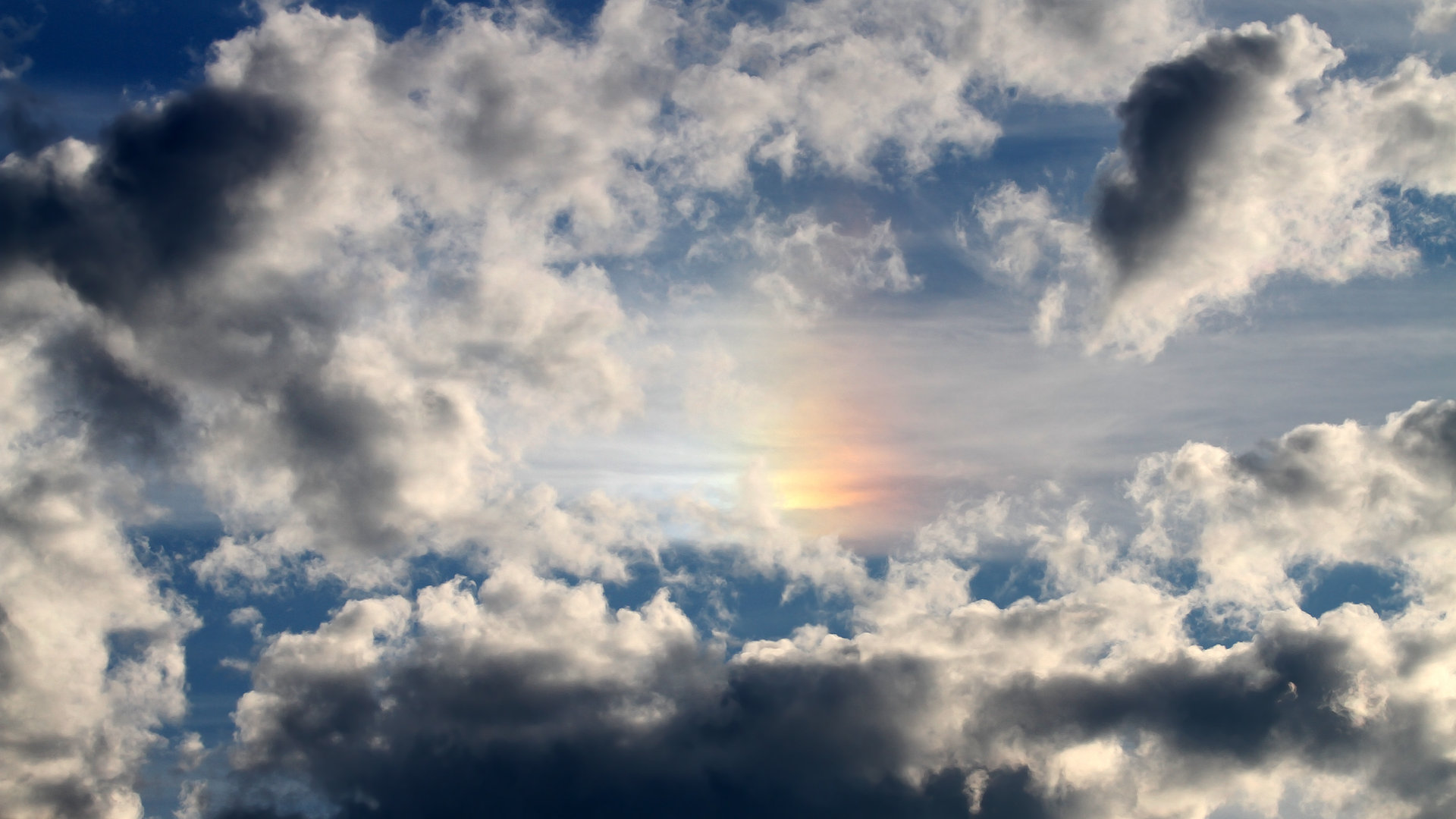 澳大利亚袋鼠队的防守反击战术不断推陈出新,澳大利亚袋鼠比赛