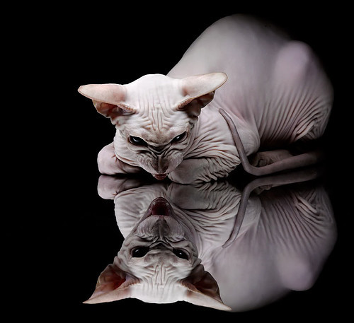 开云中国-竞技体育残酷现实再次上演失误一瞬间决定整场走势，竞技体育失范