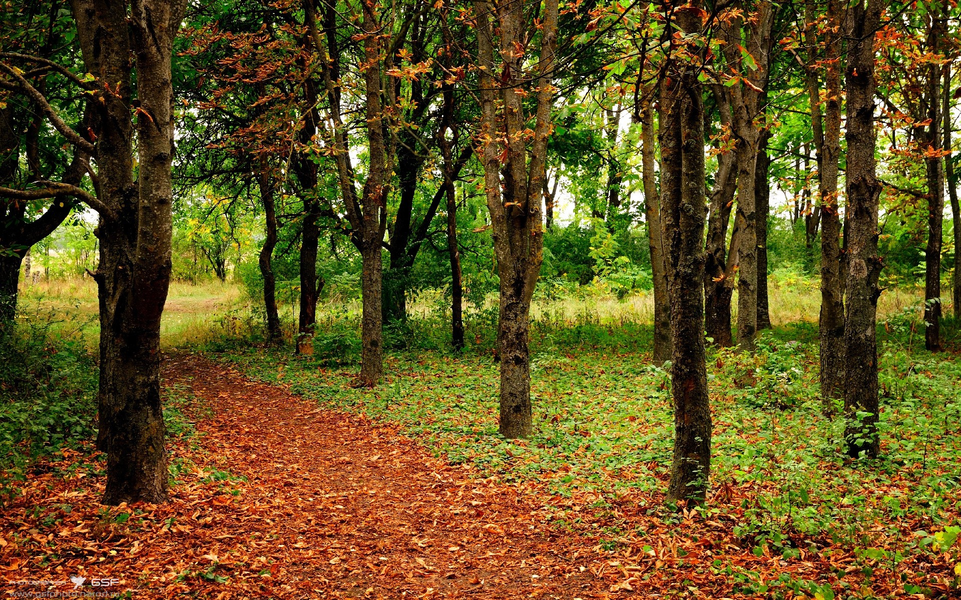 詹姆斯出席球鞋发布活动引关注,詹姆斯官宣